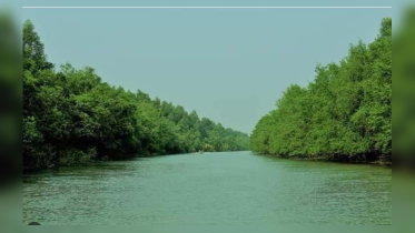বরিশাল ও চট্টগ্রাম উপকূলে বিশাল ম্যানগ্রোভ বনায়নের উদ্যোগ বরিশাল ও চট্টগ্রাম উপকূলে বিশাল ম্যানগ্রোভ বনায়নের উদ্যোগ