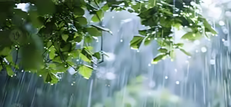 বৃষ্টির সময় দোয়া কবুলের বিশেষ মুহূর্ত, জানুন নবীজির সুন্নত