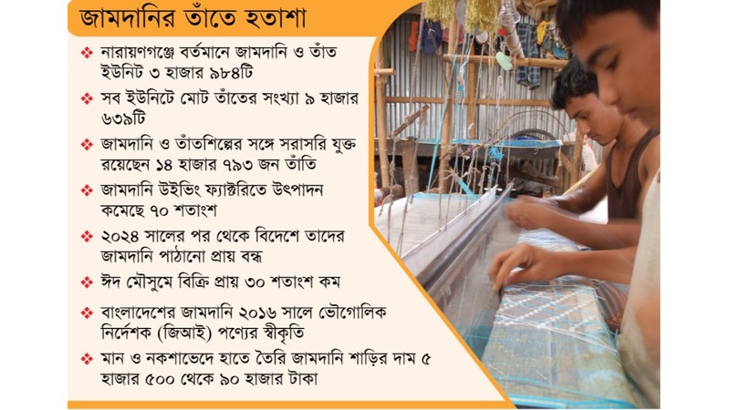 জিআই স্বীকৃতির পরও সংকটে নারায়ণগঞ্জের জামদানি